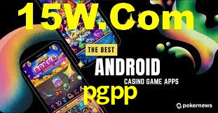Premium Interface pgpp